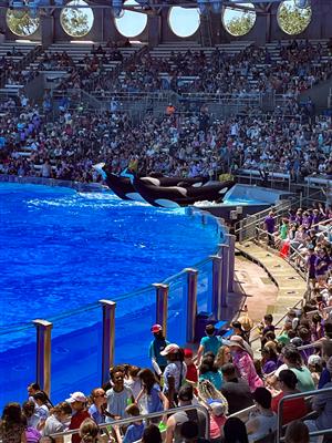 SeaWorld 2023